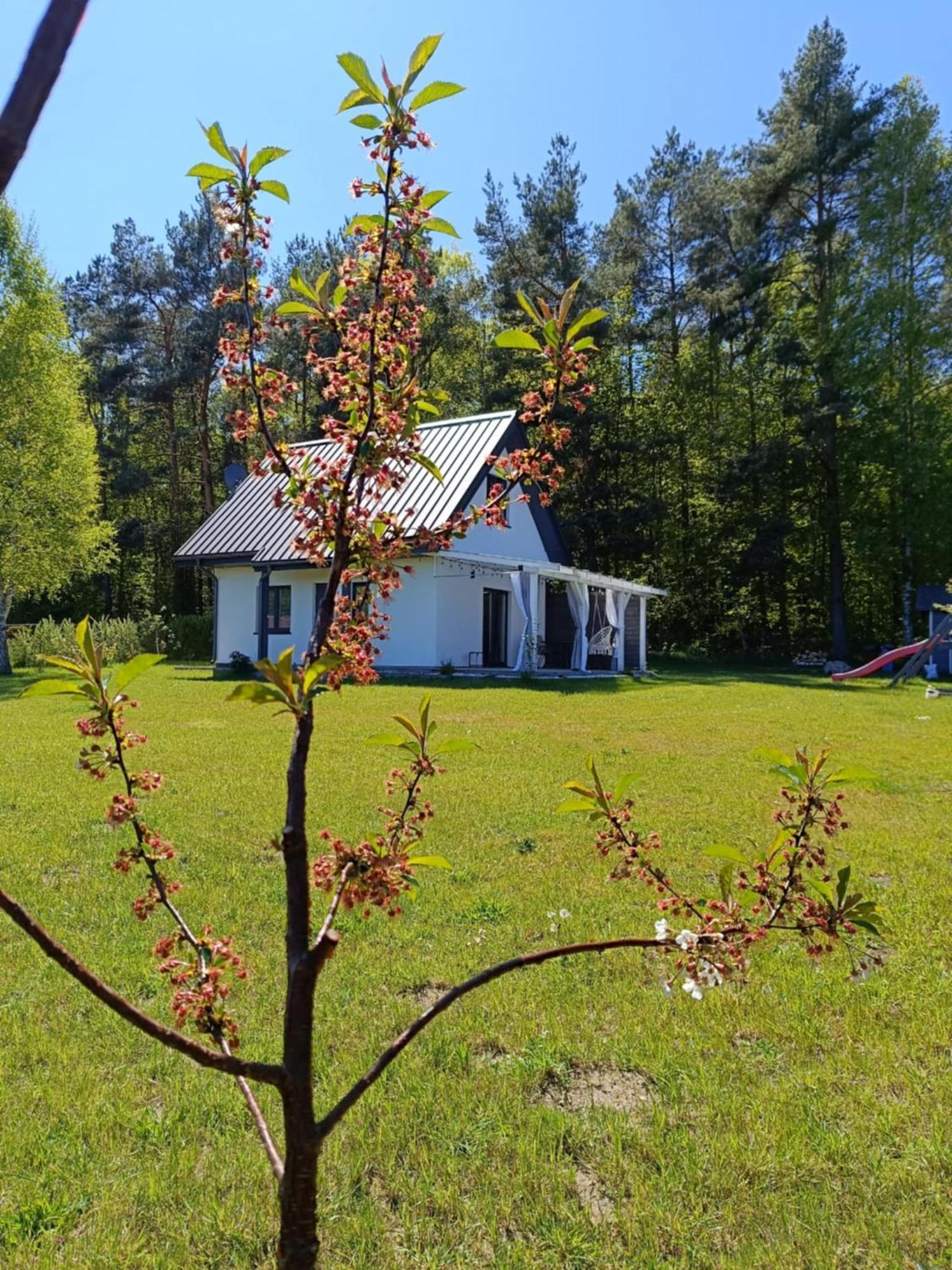 Jeszcze Bardziej Dziki Sad Villa Slajszewo Dış mekan fotoğraf